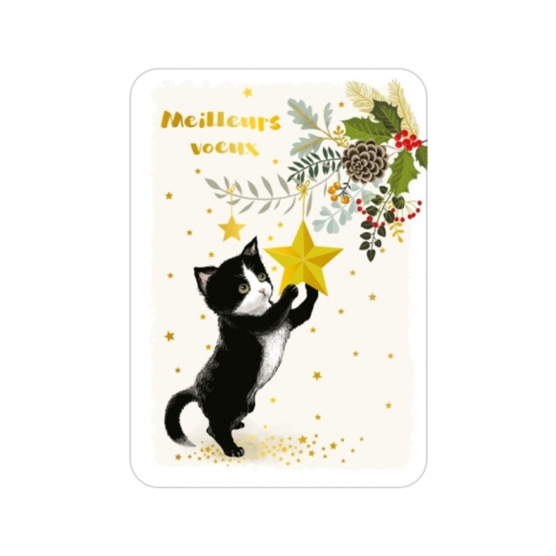 Carte meilleurs voeux - Chat