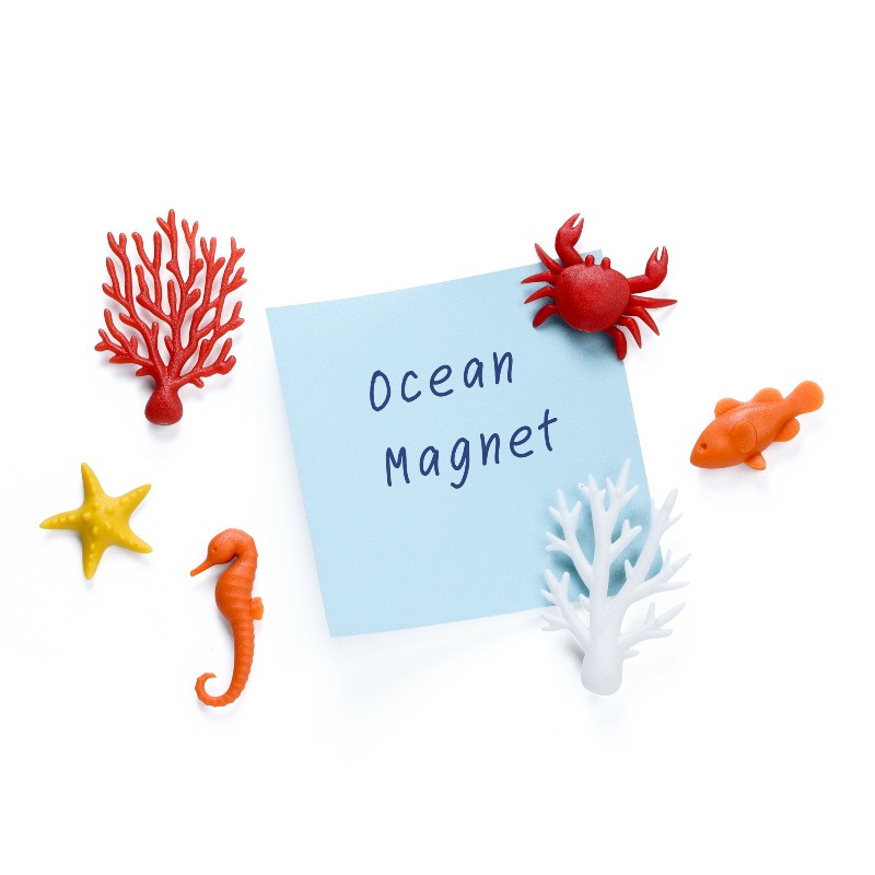 Lot de 6 magnets océans de la marque Qualy