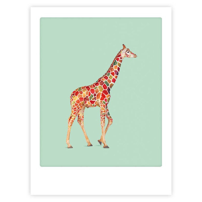 Poster Girafe 30x40 cm